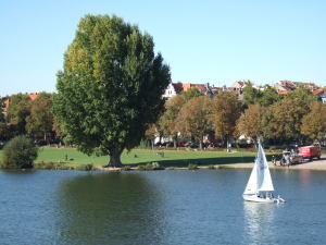 Neckar 河畔の芝地